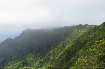 get to know kukui
