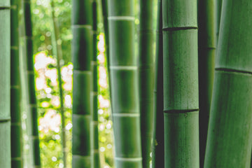 bamboo meets privé products