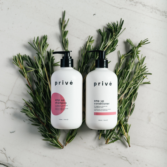 privé pro amp up shampoo - shampoo & conditioner