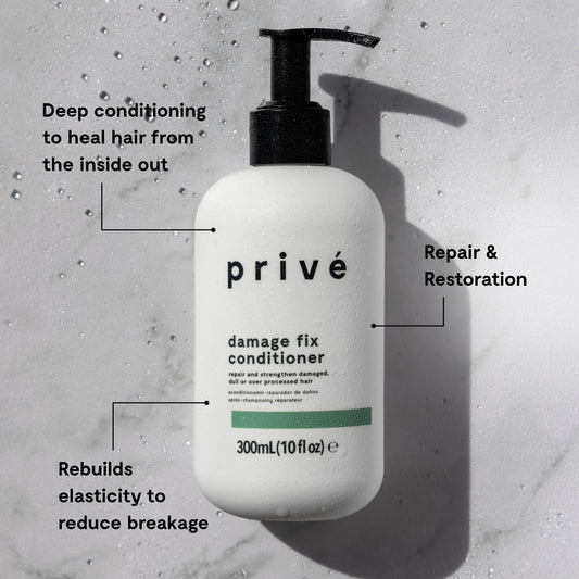Damage Fix Conditioner G2