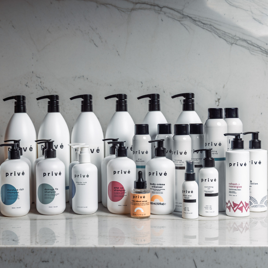 privé pro finishing hair spray - group shot